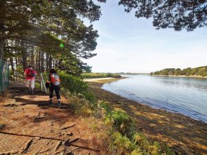 Randonnée autour du golfe du Morbihan